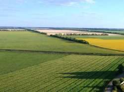 14-11-2023 Рынок сельхозземли в Украине: анализ изменений в ценах и трендах