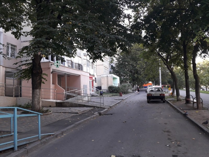 Помещение Академика Вильямса