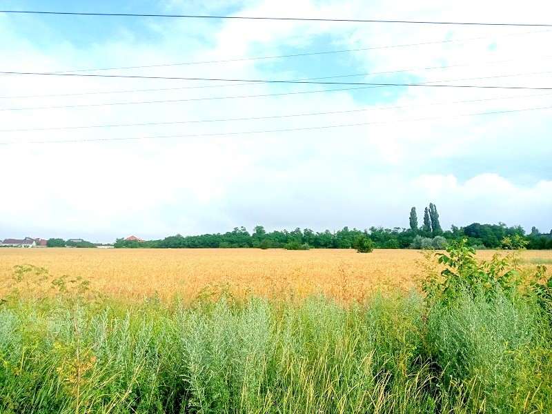 Земельна ділянка Україна, Одеська область, Біляївський, Об'їзна дорога