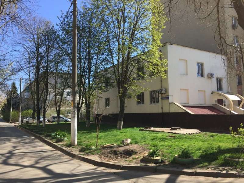 Офис Генерала Петрова