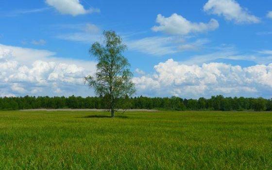 оценка загородной недваижимости