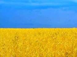 23-06-2014 Україна країна з низькою прозорістю ринку нерухомості