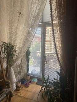 Фото 5: 2-комнатная квартира в Одессе Центр Цена аренды 400