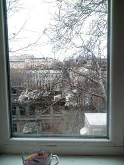 Фото 1: 1-комнатная квартира в Одессе Центр Цена аренды 6000